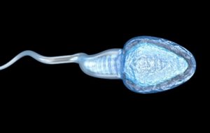Vasectomy-Sperm-Blog-300x191.jpg